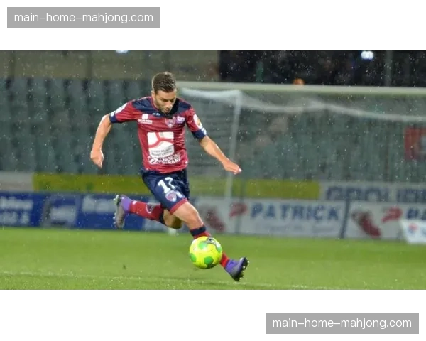 为满足联赛要求，克莱蒙主场灯光系统启动改造计划